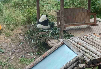 西安秦岭野生动物园第 98 张图片