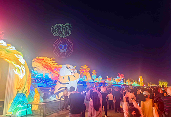 自贡·中华彩灯大世界第 19 张图片