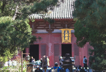 奉国寺第 44 张图片