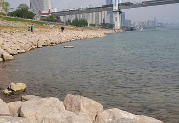 滨江公园第 137 张图片