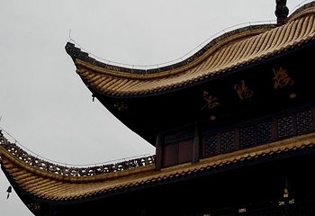 洞庭湖第 220 张图片