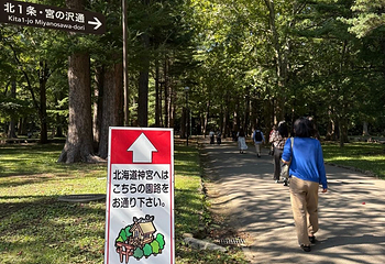北海道神宫第 25 张图片