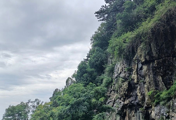 泰山风景区第 367 张图片