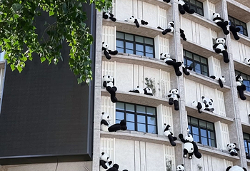 朝阳步行街第 24 张图片