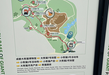 成都大熊猫繁育研究基地第 785 张图片