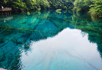 九寨沟风景区第 464 张图片