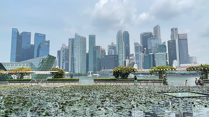 新加坡滨海湾花园第 183 张图片