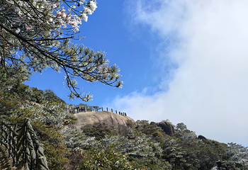 灵山风景区第 130 张图片