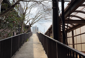 岚山嵯峨野观光小火车第 72 张图片