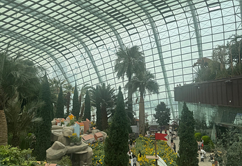 新加坡滨海湾花园第 564 张图片