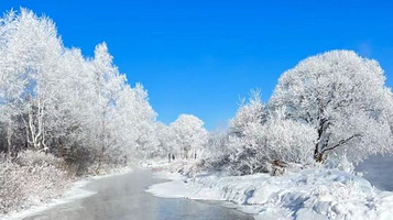 凉水国家级自然保护区