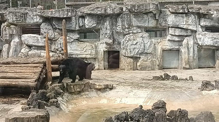 黔灵山动物园-灵长馆第 1 张图片