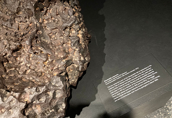 澳大利亚博物馆第 88 张图片