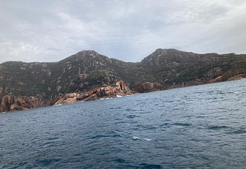 Coles Bay Jetty第 15 张图片