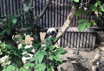 Zoo Brno第 16 张图片