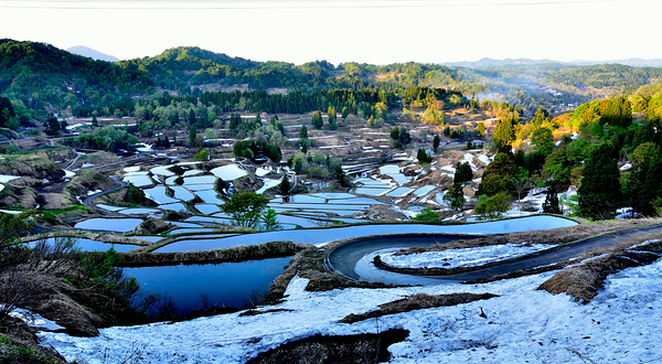 星峠梯田