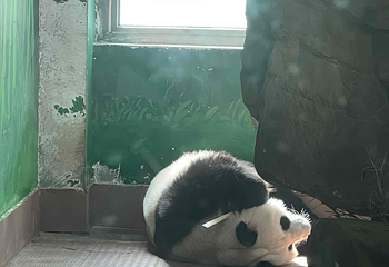 广州动物园第 29 张图片
