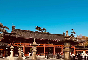 兴庆宫公园第 83 张图片