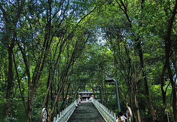 老君山第 23 张图片