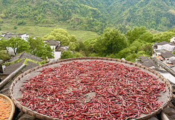 婺源篁岭景区第 141 张图片