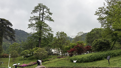 九华山风景区第 175 张图片
