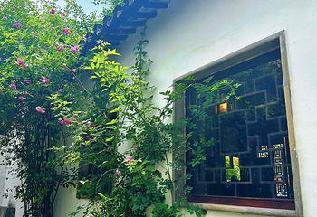 艺圃第 48 张图片