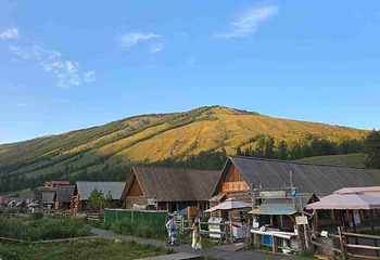 喀纳斯景区第 294 张图片