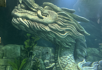 河内乐天世界水族馆第 29 张图片