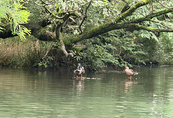西湖风景名胜区第 362 张图片