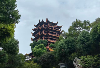 黄鹤楼第 226 张图片