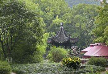 亭林园第 41 张图片