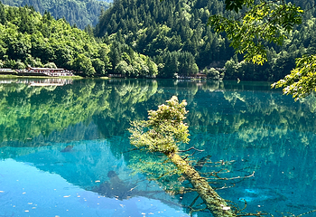 九寨沟风景区第 583 张图片