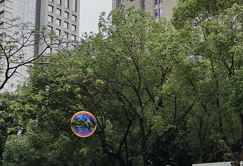 花城广场第 82 张图片