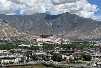 南山公园第 6 张图片
