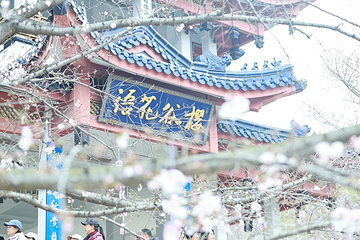 无锡市太湖鼋头渚风景区第 195 张图片