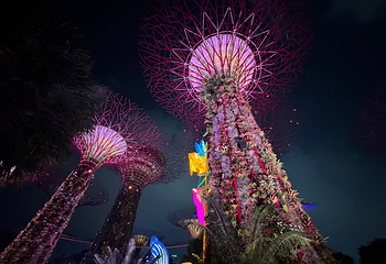 新加坡滨海湾花园第 206 张图片