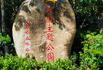 临春岭森林公园第 28 张图片