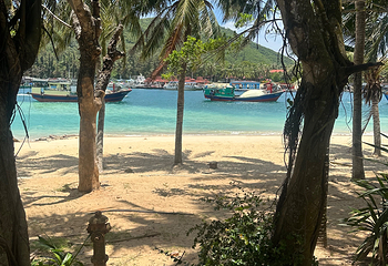 南湾猴岛生态旅游区第 128 张图片