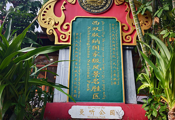曼听御花园第 106 张图片