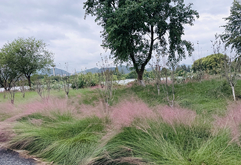 黄公望隐居地第 52 张图片