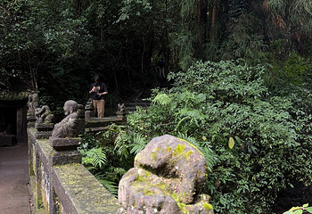 青城山第 464 张图片