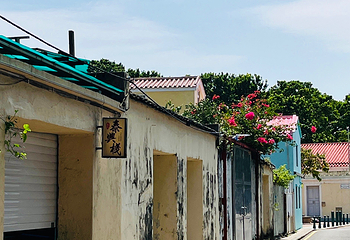 路环岛第 87 张图片