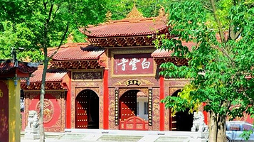 青城后山-白云寺