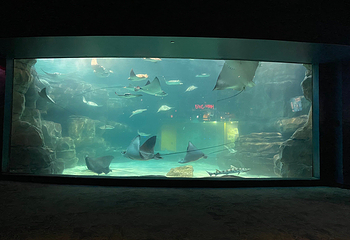 莱利大烟山水族馆第 17 张图片