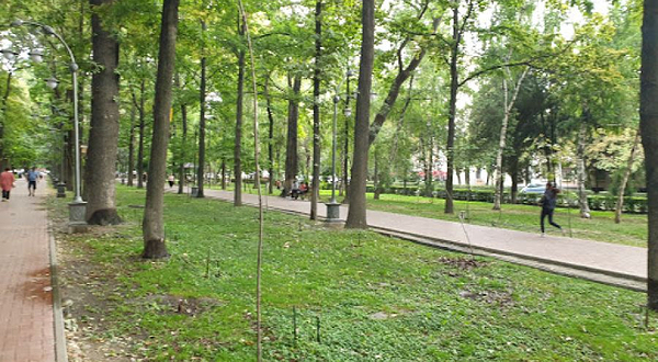 Children's playground