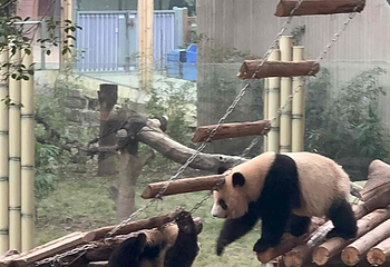 重庆动物园第 183 张图片