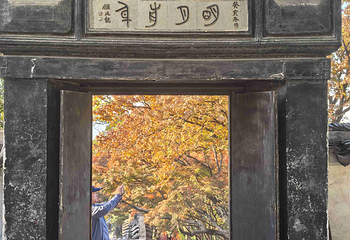 虎丘山风景名胜区第 192 张图片