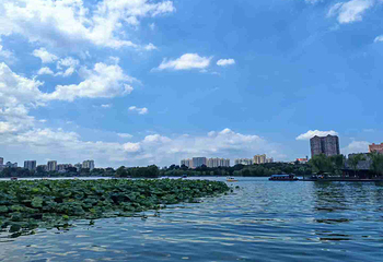 大明湖景区第 23 张图片