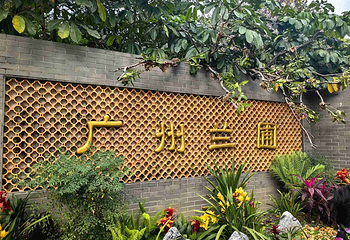 广州兰圃第 33 张图片