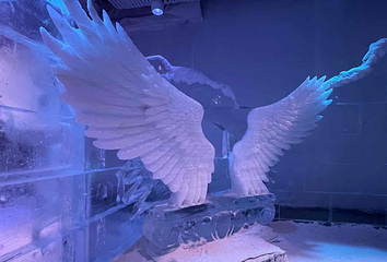 阿尔卑斯雪世界第 340 张图片